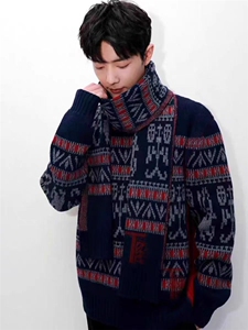 2025年秋季套头长袖青春流行半高圆领羊毛衫，男装羊毛衫，圣强羊绒