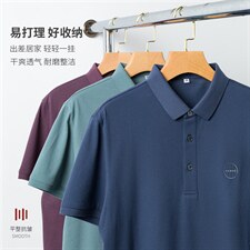 短袖t恤男polo衫翻领夏季刺绣新款男士保罗爸爸夏装潮流上衣男图片
