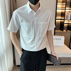 夏季男士短袖衬衫男休闲小伙修身休闲衬衣A236-C017-特P28，男装T恤，电商A236