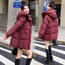 2024冬季新款女装中长款羽绒服时尚保暖显瘦外套，女装羽绒服，艾尚靓装