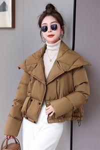 2024年冬季新款时尚气质显瘦大翻领时髦个性设计白鸭绒羽绒服图片