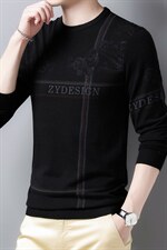 Z2072男士2023年秋冬新款长袖圆领羊毛针织衫休闲打底衫P65图片