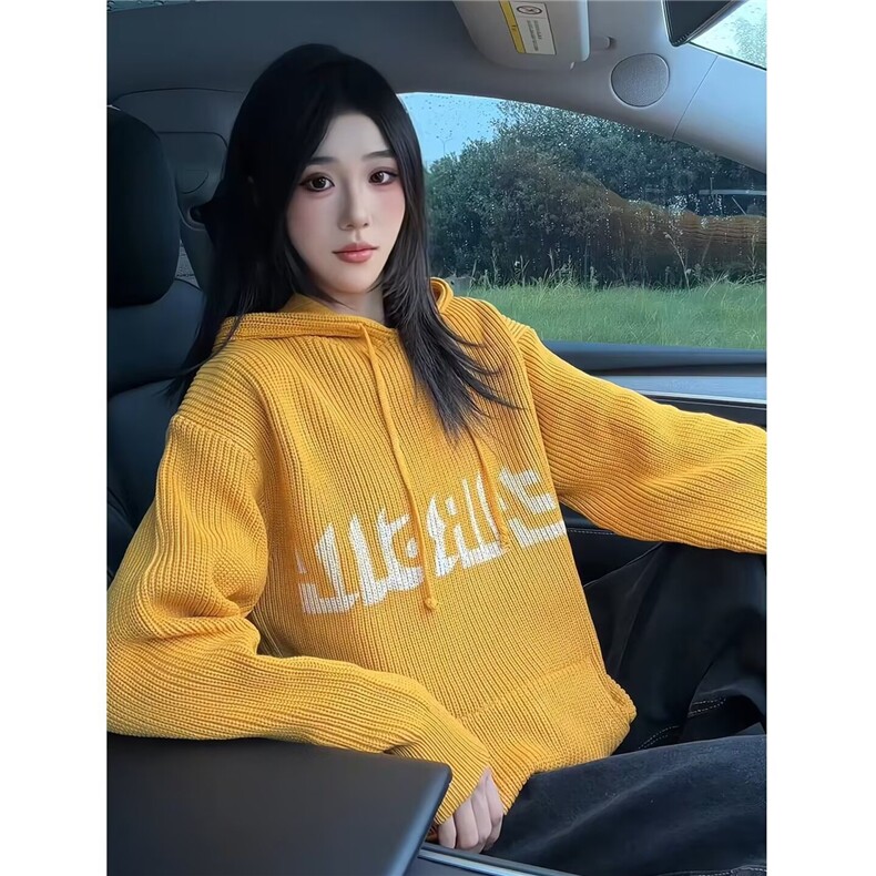 连帽毛衣套头女秋季2025年新款宽松小个子百搭针织外套上衣,男装针织衫/毛衣,星座1210-1