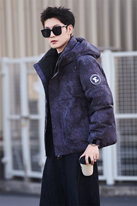 9805-M-3XL-P215-标50绒社会小伙男士休闲连帽潮牌保暖羽绒服图片