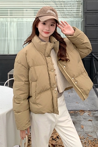 冬季 新款   立领 90绒 羽绒服-p295-k398图片