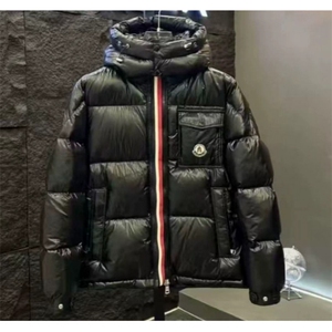 (网图)亮面羽绒服男士冬季青年休闲加厚羽绒服313B-2600羽绒-P180图片