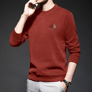 FL-M1651限价118元男式2023春季新款长袖T恤男休闲男装卫衣P73图片