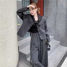 通勤穿搭灰色西服上衣套装女春秋超火好看高级小众阔腿长裤两件套，女装套装/套裙，2D035