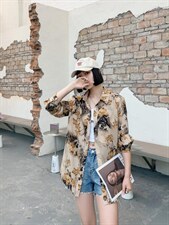 花衬衣，其它，红嘴鸥