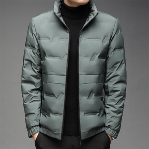 AC9910钱塘2020-3冬季羽绒服白鸭绒防寒保暖外套男加厚P190图片