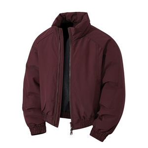 防风Cityboy冬季2025加厚百搭棉衣棉服保暖外套 HY2999-P75控129图片