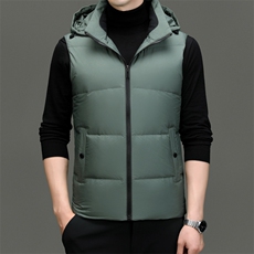 DF2377钱塘2020-2时尚休闲简约有帽冬季厚款中年男士羽绒服P148，男装羽绒服，钱塘207-2