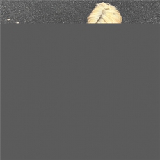 250克双纱供得物直播水洗做旧美式破洞工艺短袖XZ301B-JB4202-P40，男装T恤，星座301B