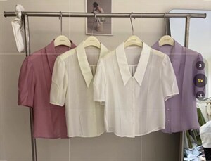 小衬衫4色2码图片