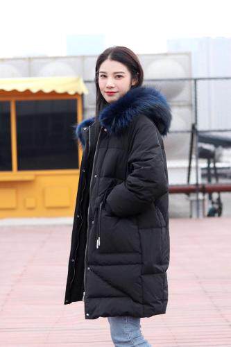 时尚羽绒服图片