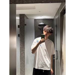 原版刺绣纯棉短袖ZX0304-P35图片