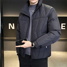 50白鸭绒男装羽绒服2025新款冬季外套C317-Y1808-P195，男装羽绒服，电商C317