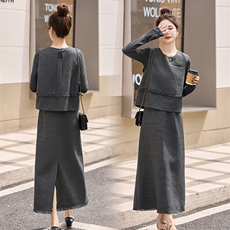 2025春秋季新款时尚套装女灰色长袖上衣显瘦洋气半身裙两件套，女装套装/套裙，丽影随形