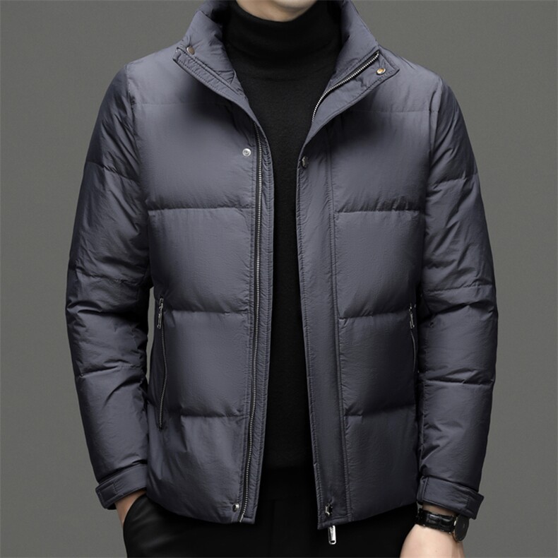 DF802钱塘2020-2冬季厚款时尚休闲简约中年男士立领羽绒服P230,男装羽绒服,钱塘207-2