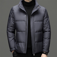 DF802钱塘2020-2冬季厚款时尚休闲简约中年男士立领羽绒服P230，男装羽绒服，钱塘207-2