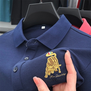 长袖t恤时尚男士高端刺绣休闲保罗polo衫翻领爸爸装春秋季上衣T恤图片