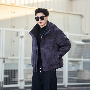 9805-M-3XL-P215-标50绒社会小伙男士休闲连帽潮牌保暖羽绒服图片