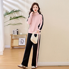 现货女士立领运动休闲时尚韩版修身洋气潮流爆2025年秋款季，女装卫衣/绒衫，凝聚力