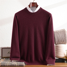 2025年秋季14针男圆领时尚百搭休闲，男装羊绒套衫，暖思纯羊绒