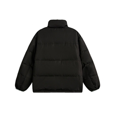 2025冬款立领拼摇粒绒字母绣花羽绒服-5638-358，男装羽绒服，电商S012（CATTEE）