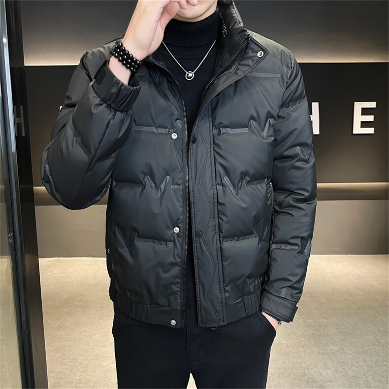 DS-A225-8707新标三防面料男士立领免洗潮流时尚休闲鸭绒羽绒服,男装羽绒服,电商A225