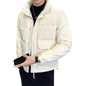 新标50 2025冬季店主风白鸭绒立领休闲羽绒服YR8101-P180图片