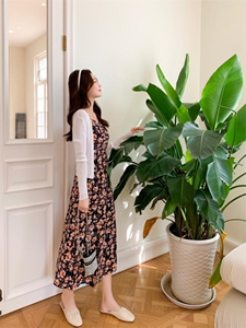 两件套,其它,安玖拉