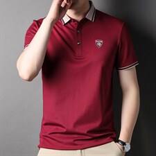 男士短袖T恤2023夏季新款中青年男士舒适透气商务休闲宽松Polo衫，男装T恤，电商B212（原钱塘6029）