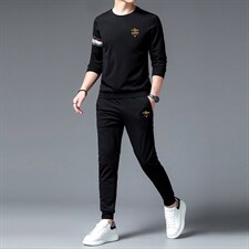 中年男装运动套装秋季刺绣爸爸装圆领中老年运动服男卫衣休闲套装，男装休闲套装，电商B212（原钱塘6029）