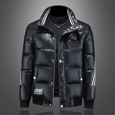 2025冬季男士90%白鸭绒亮面刺绣立领羽绒服钱塘6036-Y25910P380，男装羽绒服，钱塘6036（原3026）