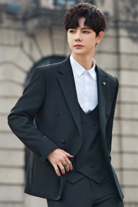 2025新郎西服男士套装结婚礼服西装韩版修身商务休闲X9001P155图片