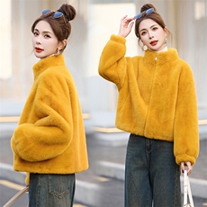 现货主推新款2024年冬季时尚立领皮毛一体加厚短外套仿水貂毛上衣，女装皮草，盈茜