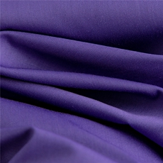 紫色系腰带短袖衬衫女收腰显瘦优雅小衫，女装衬衫，水衣源