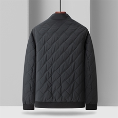 中年男士商务休闲棉服冬季新款外套男装加厚保暖棉衣QS3679-P155，男装棉衣，星座1105-3