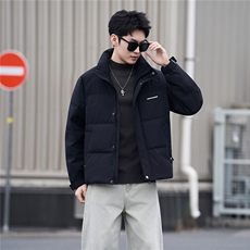 标50绒立领男士羽绒服冬季2025新款加厚冬装外套A313-3318-P205，男装羽绒服，电商A313