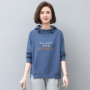 2022年秋季新款刺绣卫衣女连帽衫韩版休闲百搭长袖上衣服女棉图片