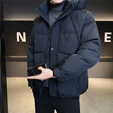 标50绒加厚男士羽绒服冬季2025新款连帽外套A313-66020-P245，男装羽绒服，电商A313