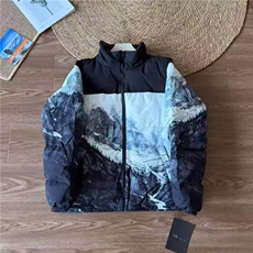 AA2115P95平替立领棉服男户外加厚保暖同款运动学生棉袄冲锋衣，男装夹克，电商B323A