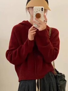 连帽毛衣女秋冬2024新款宽松短款针织衫长袖上衣图片