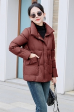 2025年秋冬新款棉衣外套女时尚潮流立领保暖厚实羽绒棉袄，女装棉衣/棉服，木橙西子