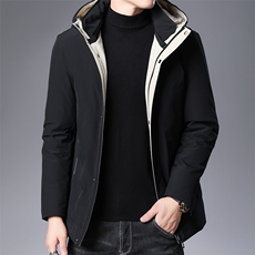 AN9039钱塘2020-3秋冬新款中年男士简约休闲连帽羽绒服外套P195，男装羽绒服，钱塘207-3