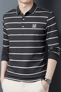 翻领体恤男春秋季2023新款条纹中年男士长袖t恤宽松休闲打底衫图片