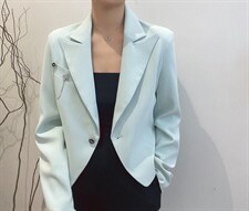 香丽迪春装新款外套，其它，香丽迪1