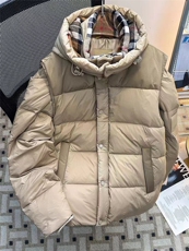 (网图)50白鸭绒可拆卸羽绒服白鸭绒防寒外套313B-25-6-P235，男装羽绒服，星座313B