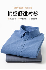 男士纯色全棉衬衫长袖2024新款春秋季商务休闲帅气衬衣男，男装衬衫，钱塘6003（原4033）